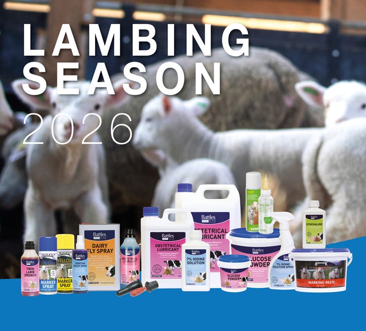 Lambing banner Lincoln